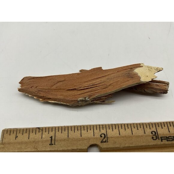 1960 Rose Bowl  Pieces Of Goal Post Torn Down By The Washington Husky Fans - Picture 10 of 11